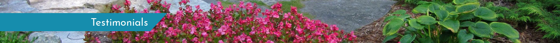Testimonials
